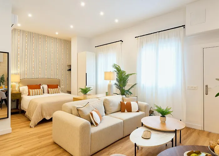 Appartement Loft Apolo